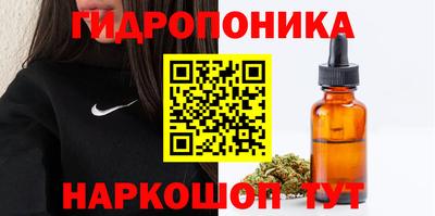 бошки Дубна