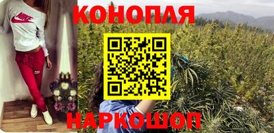 прущие грибы Гусиноозёрск