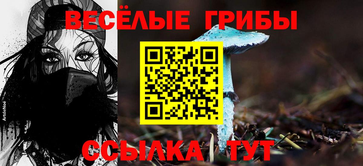 Мценск  Галлюциногенные грибы Psilocybe  Вход с VPN 