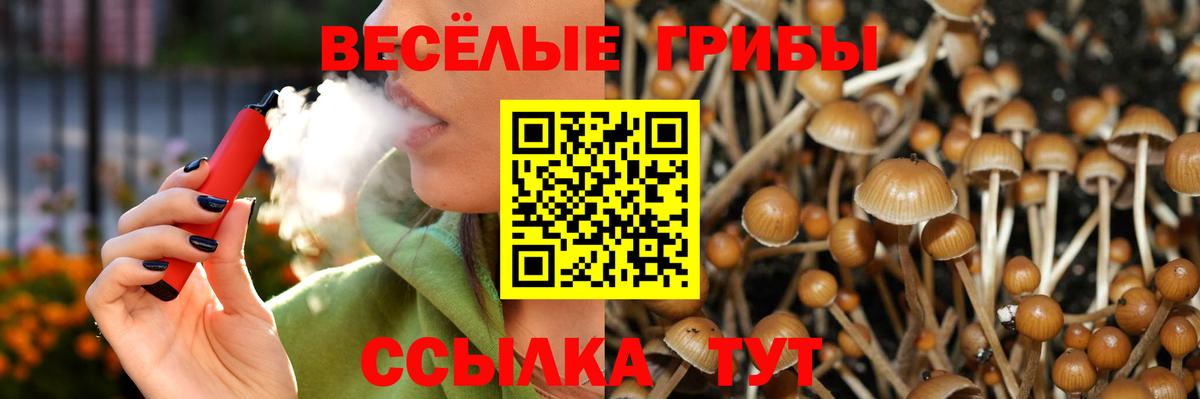 Псилоцибиновые грибы прущие грибы Мценск